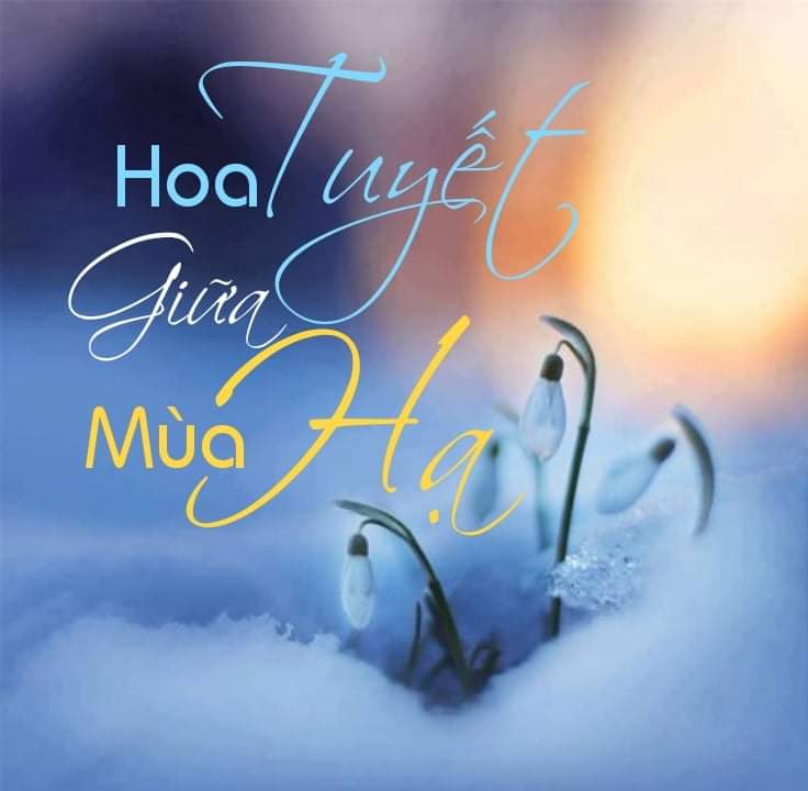 Hoa tuyết giữa mùa hạ 