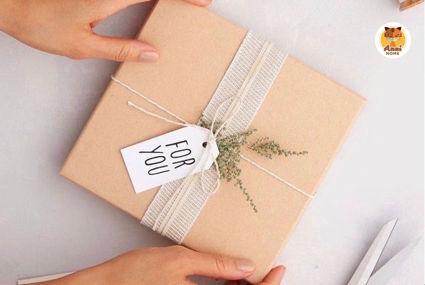 Anni Home – nhà tài trợ cuộc thi Podcast "Sách và Cuộc hội ngộ với chính mình"