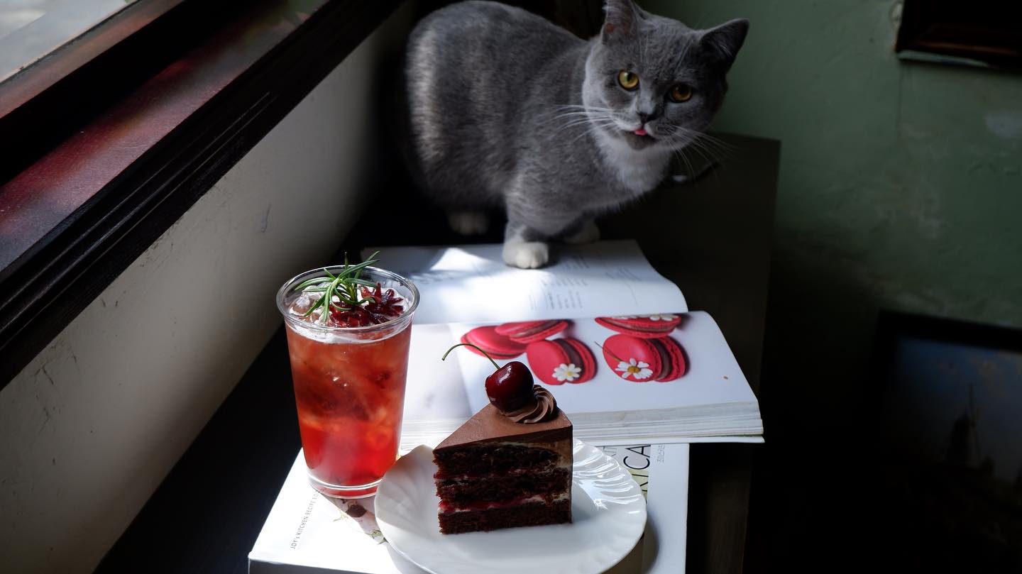 Bittersweet Cakery & Cafe