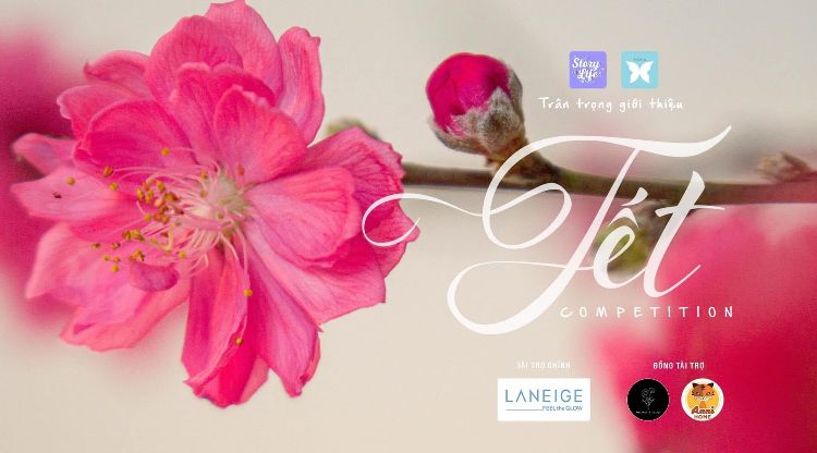 Lễ tảo mộ – một phong tục đẹp đẽ trong tôi những ngày tết đến.